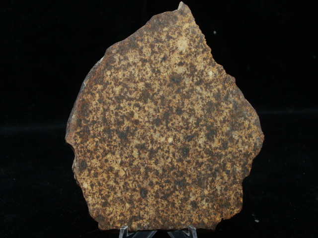 NWA 11,842 Meteorite Slice - 84 gms