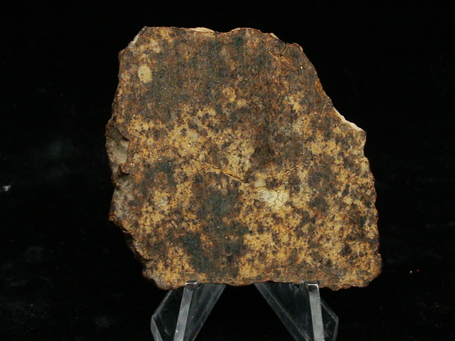NWA 11,842 Meteorite Slice - 24 gms