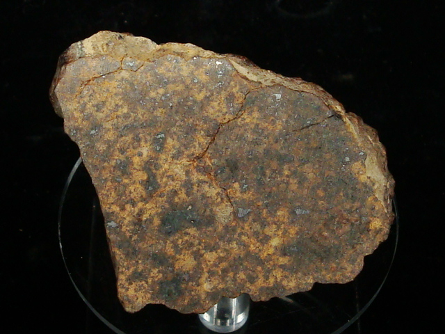 NWA 11,842 Meteorite End Cut - 81 gms