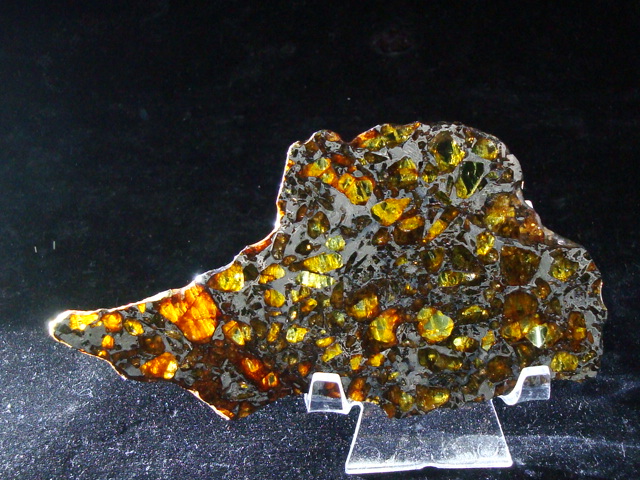 NWA 14,492 Pallasite Meteorite Slice - 54.9 gms
