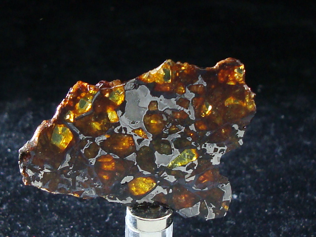 NWA 14,492 Pallasite Meteorite Slice - 8.6 gms