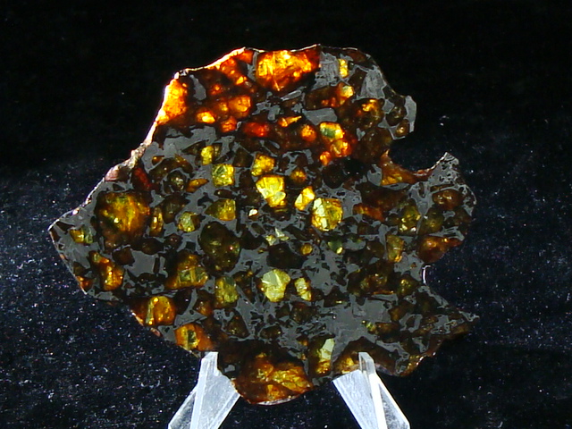 NWA 14,492 Pallasite Meteorite Slice - 32.2 gms