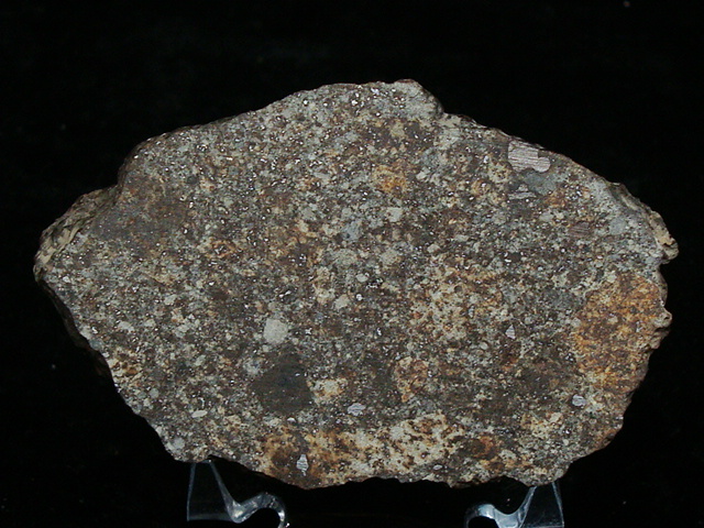 NWA 869 Meteorite End Cut - 80.8 gms