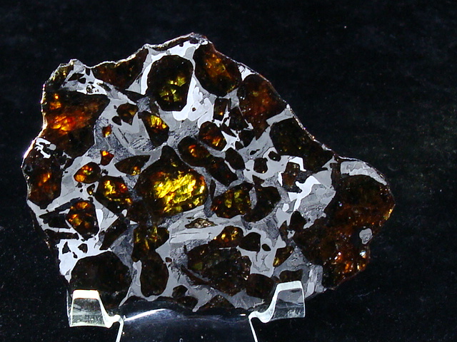 NWA 15,428 Pallasite Meteorite Slice