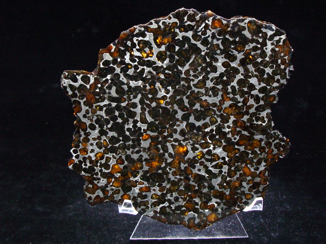 Sericho Pallasite Meteorite Slice - 395.0 gms