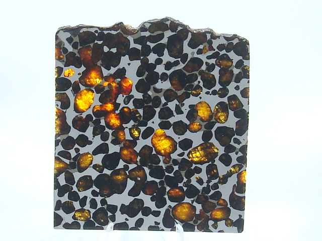 Sericho Pallasite Meteorite - 84.8 grams