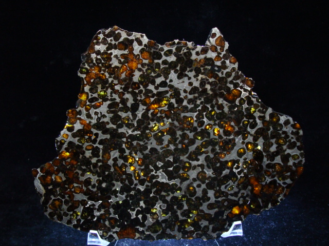 Sericho Pallasite Meteorite Slice - 282.6 gms