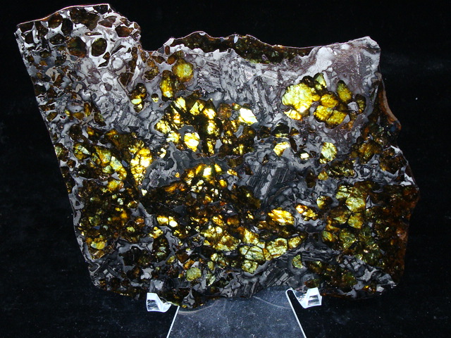 Seymchan Pallasite Meteorite Slice - 163.2 gms