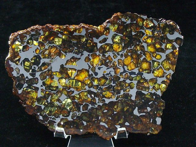 Seymchan Pallasite Meteorite Slice - 88.7 gms