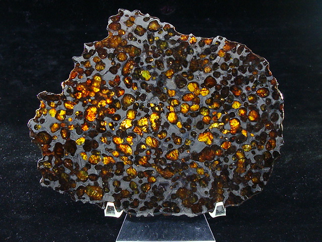 Springwater Meteorite Slice - 156.4 grams