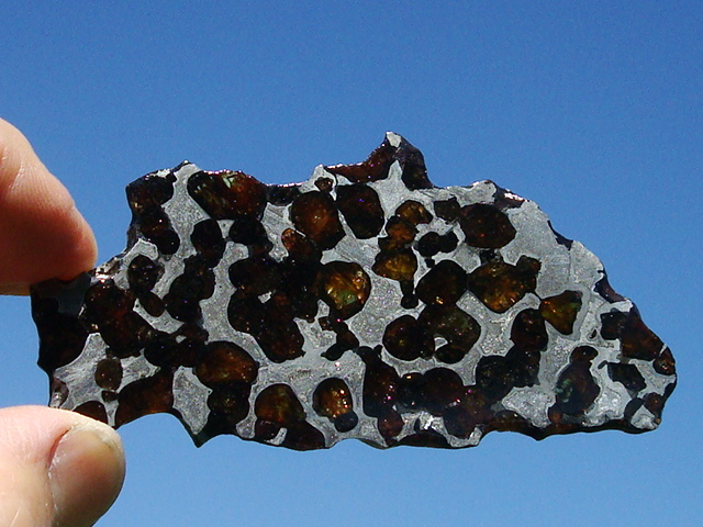 Sterley Pallasite Meteorite - Eagle Station - 33.4 grams