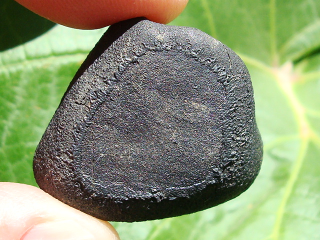 Sutter's Mill Meteorite - 21.47 grams