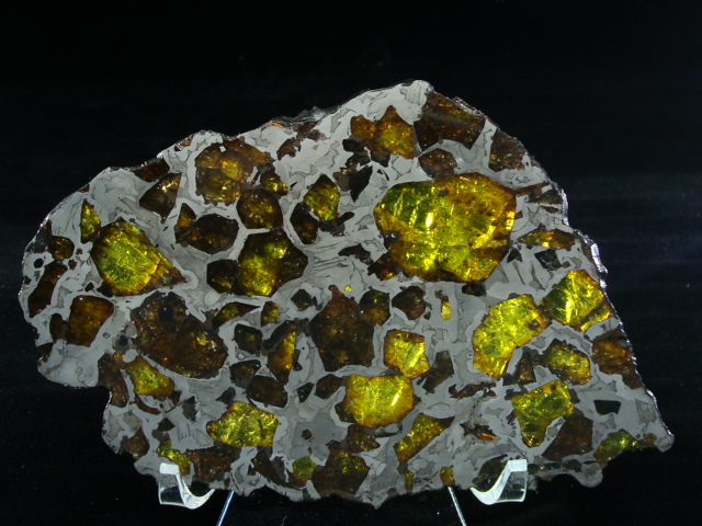Tibetrian Pallasite - 139.2 gram Full Slice