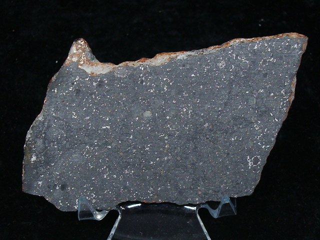 Tsarev Meteorite Slice - 39.7 gms
