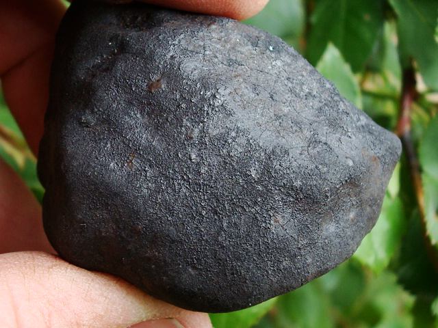West Texas Stoney Meteorite showing fusion crust