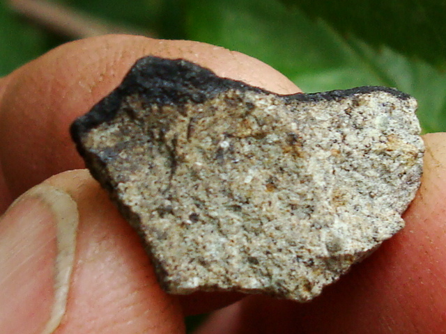 West Texas Stoney Meteorite showing the inner matrix and fusion crust